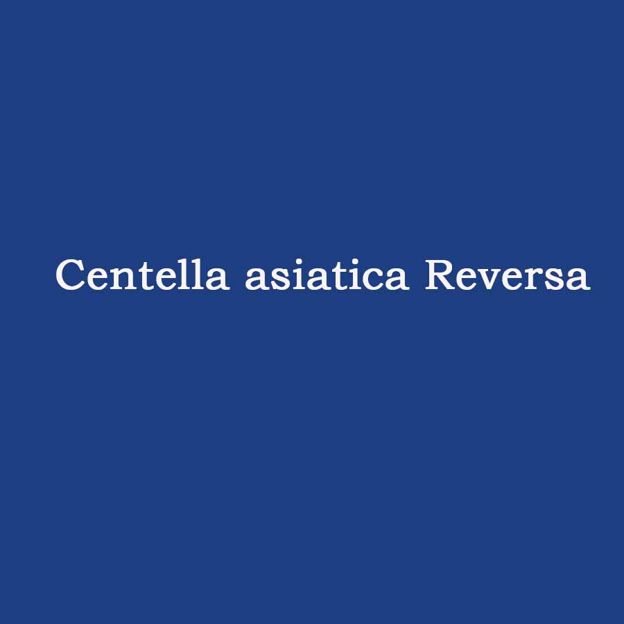 Centella asiatica Reversa (Chiết xuất từ mô sẹo cuống lá rau má)