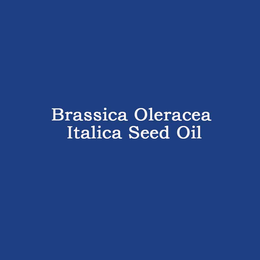 Brassica Oleracea Italica (Broccoli) Seed Oil (Dầu hạt cải)