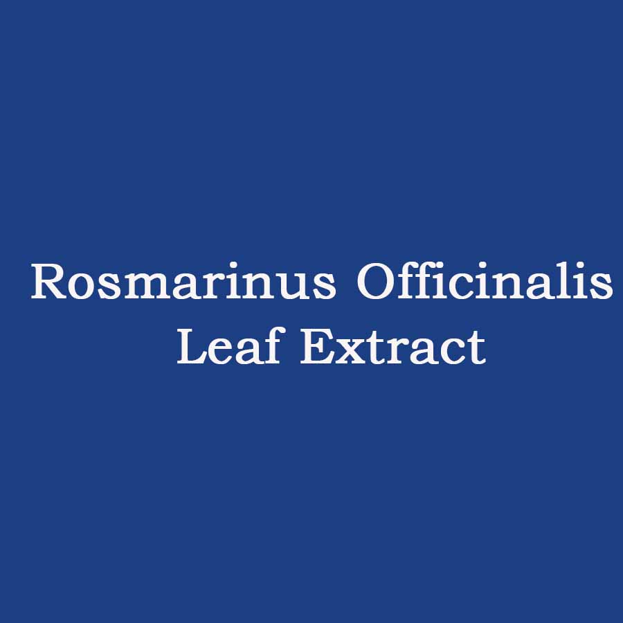 Rosmarinus Officinalis Leaf Extract (Chiết xuất Hương Thảo)