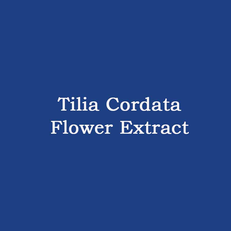Tilia Cordata Flower Extract (Chiết xuất hoa Chi đoạn)