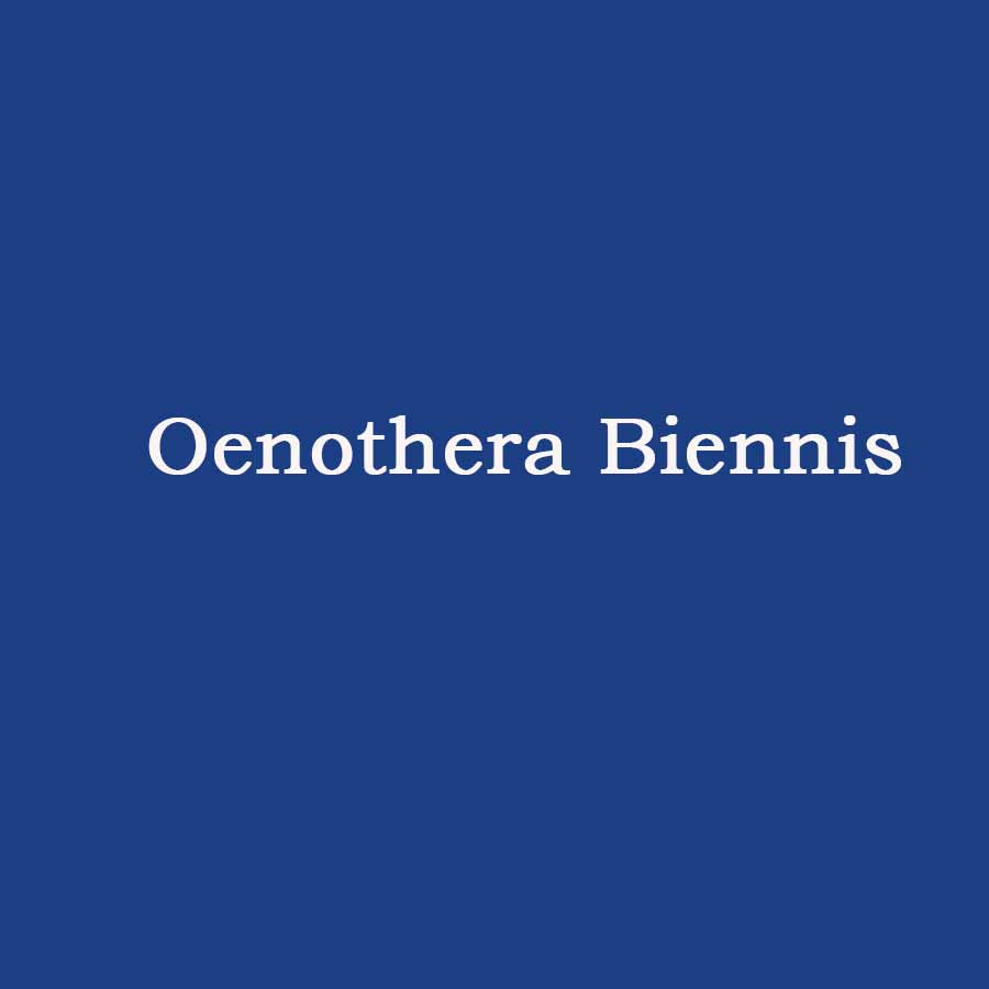 Oenothera Biennis (Evening Primrose) Oil (Dầu hoa anh thảo)