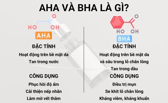 Nên Sử Dụng AHA Hay BHA?