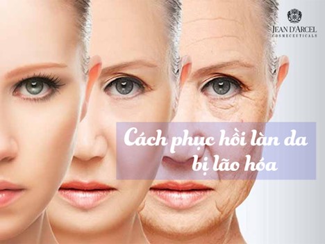 Cách Phục Hồi Làn Da Bị Lão Hóa Hiệu Quả