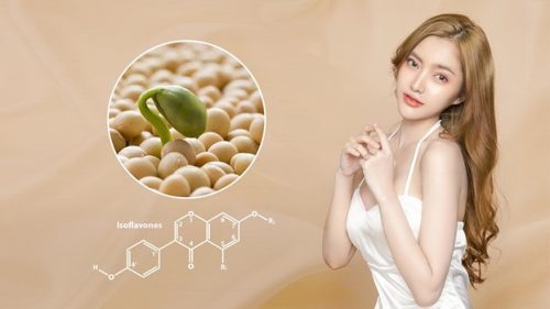 ISOFLAVONE VÀ CÔNG DỤNG CỦA ISOFLAVONE