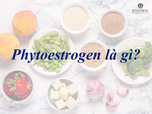 PHYTOESTROGEN LÀ GÌ