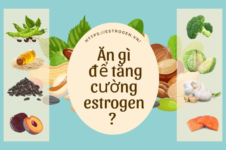Ăn Gì Để Tăng Nội Tiết Tố Nữ